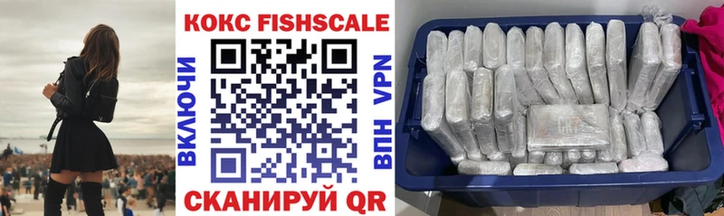 COCAIN Fish Scale Гудермес